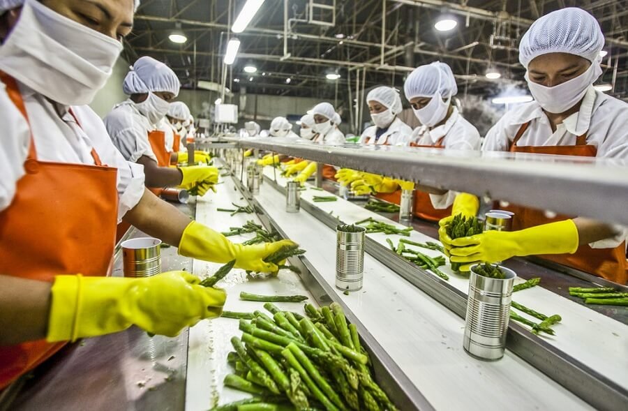 Industrial Food Processing Plants