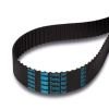 Timing Belts