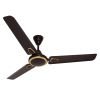 Ceiling Fans